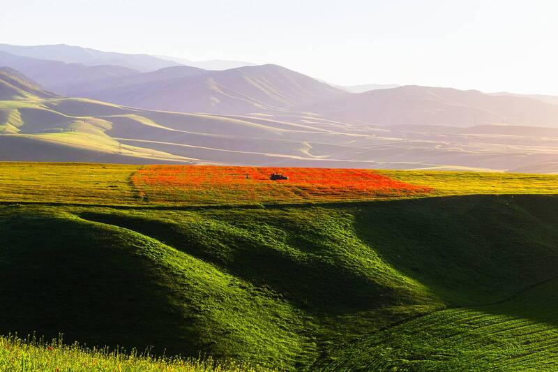 кыргызстан На ковре фото превью
