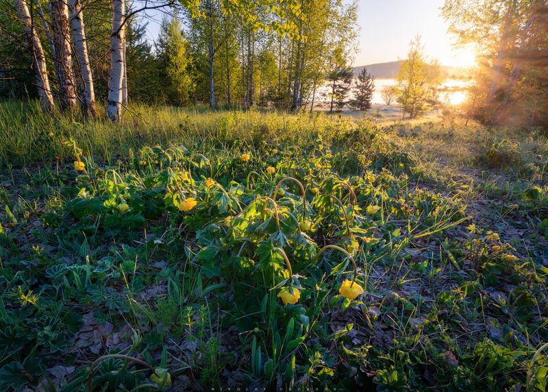 Морозное утро фото превью