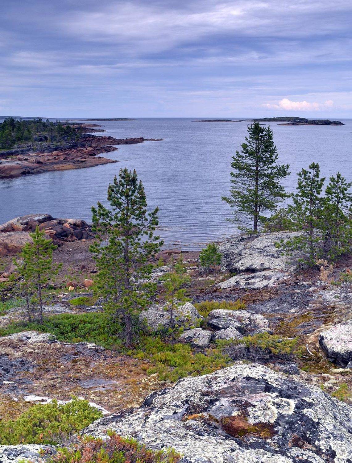 , Дима Лялин