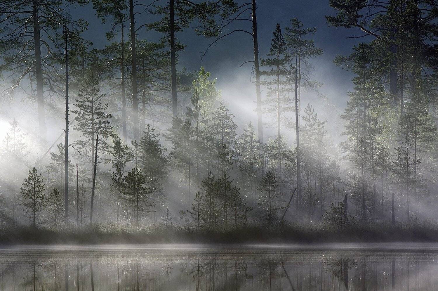Карелия, Туман, Утро, Виктор