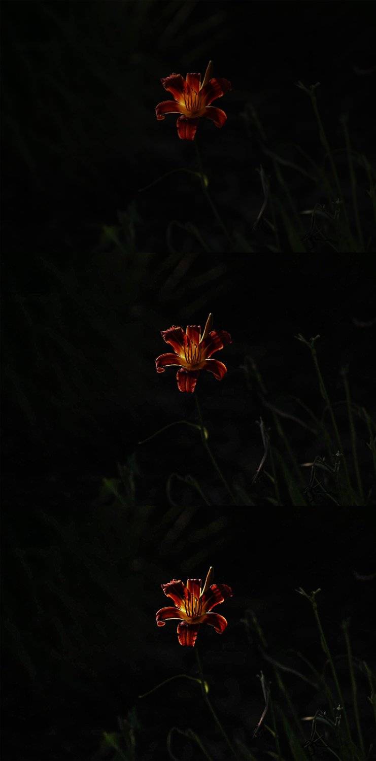 flower, Александр