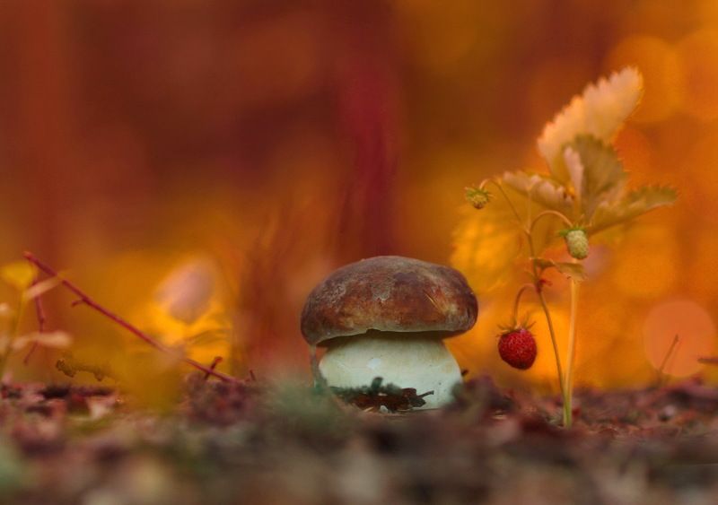 На исходе дня фото превью