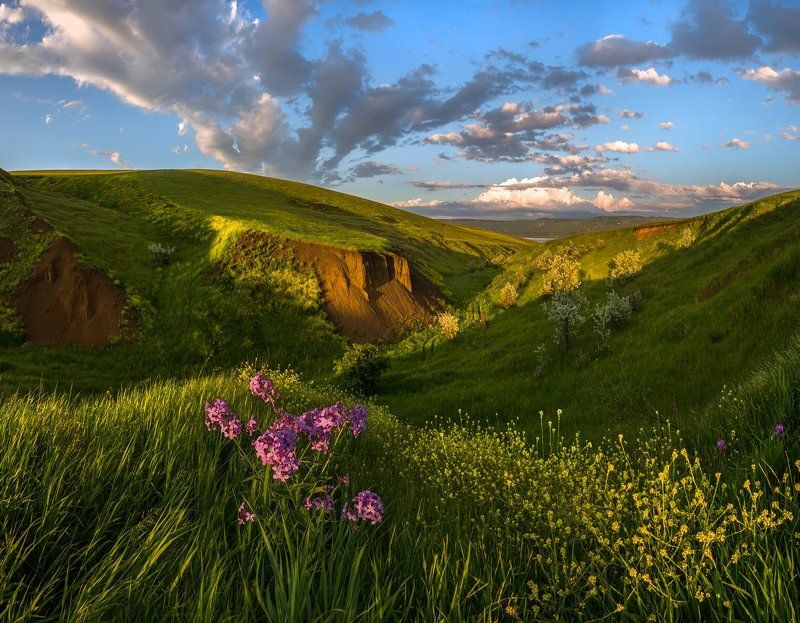 Вид на балку Второй Лог. фото превью