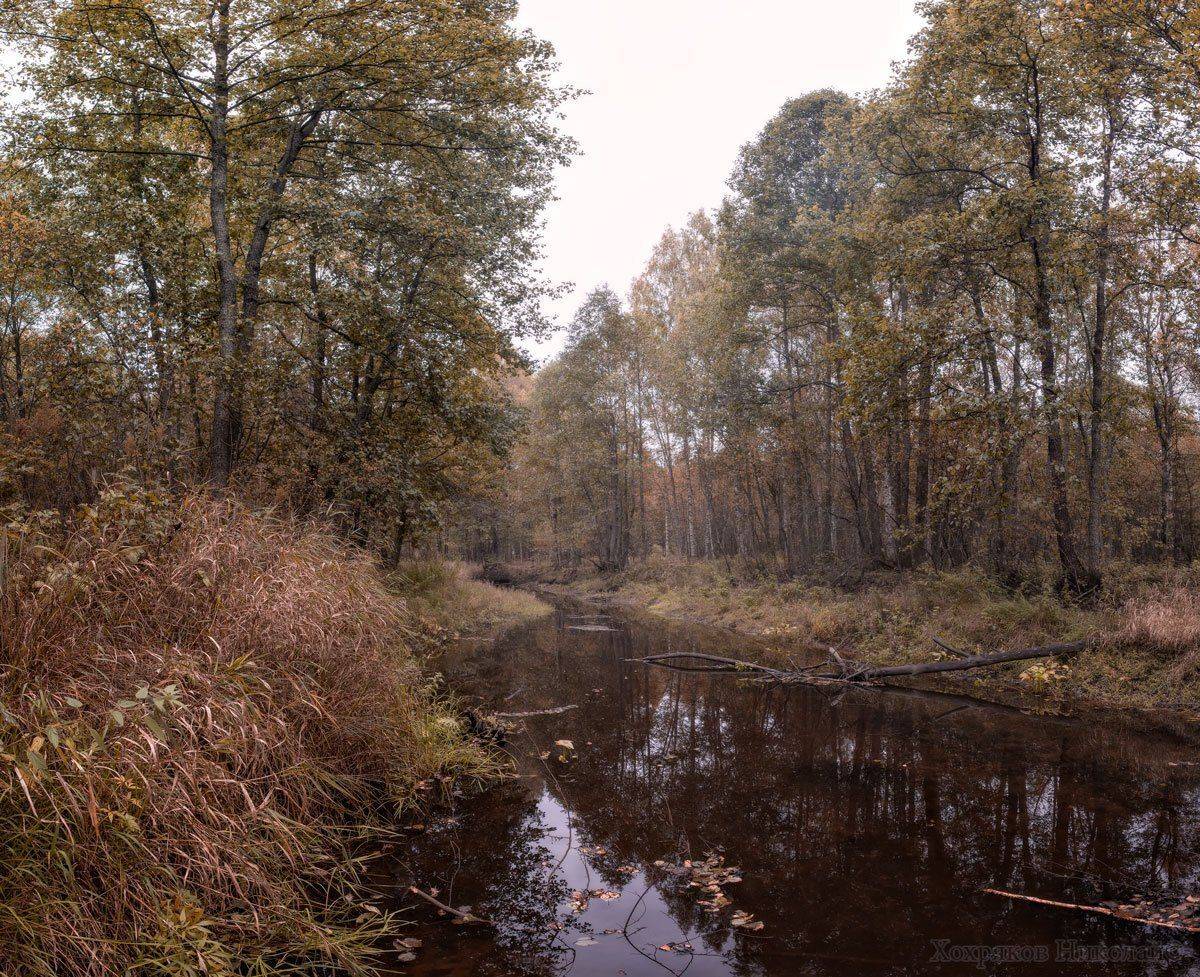 , Хохряков Николай