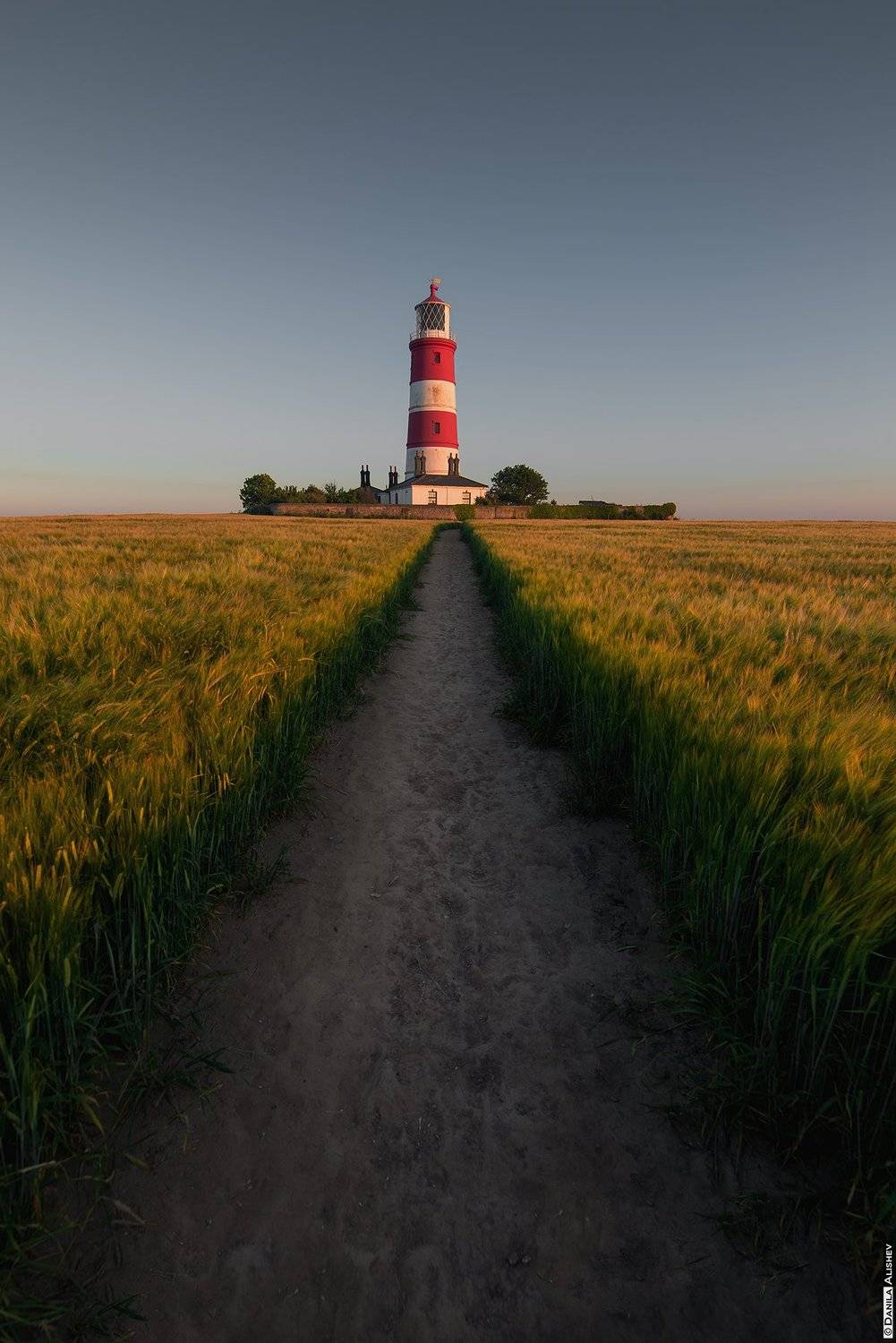 , Данила Алишев