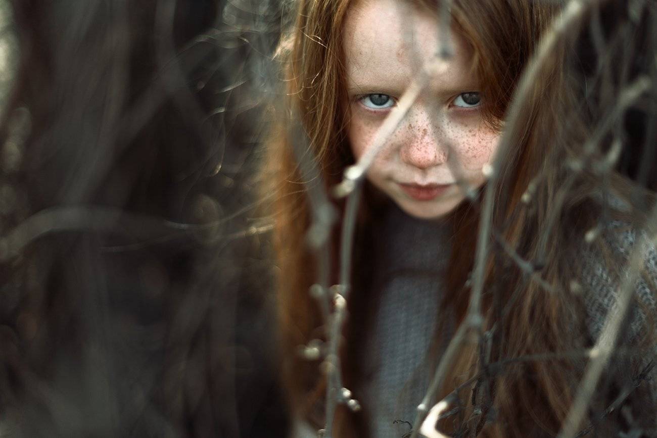 , Дмитрий Александров