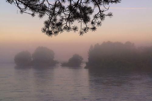 Туман над Бией