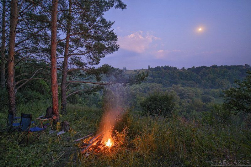 На краю сосновой рощи фото превью
