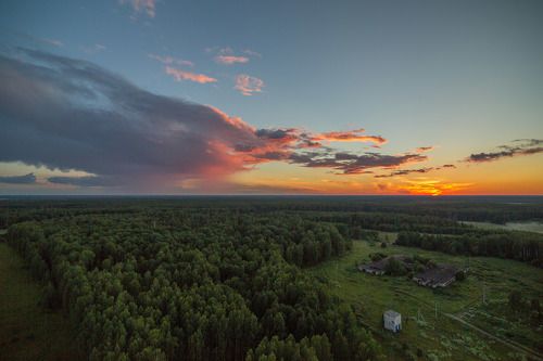 С высоты птичъего полета