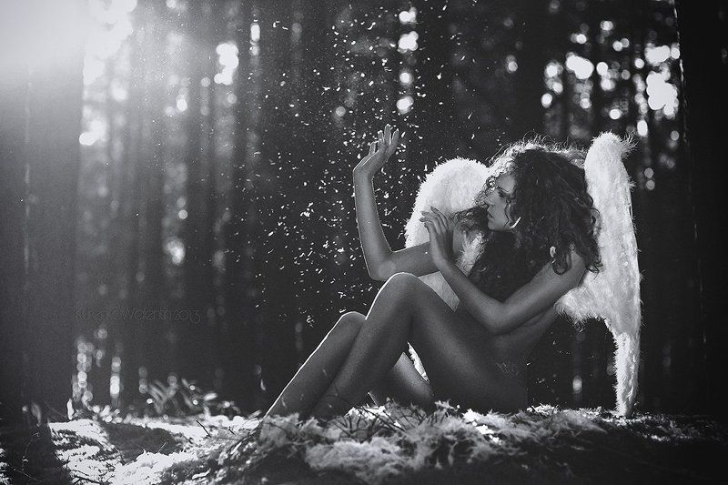 angel фото превью