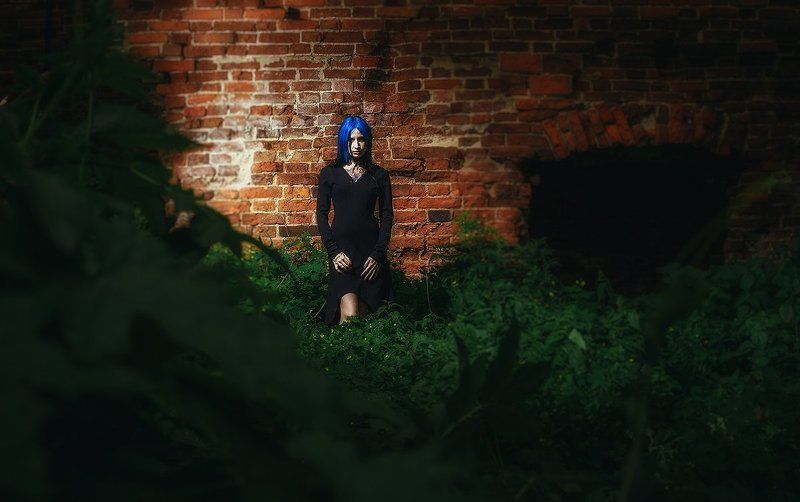 фото превью