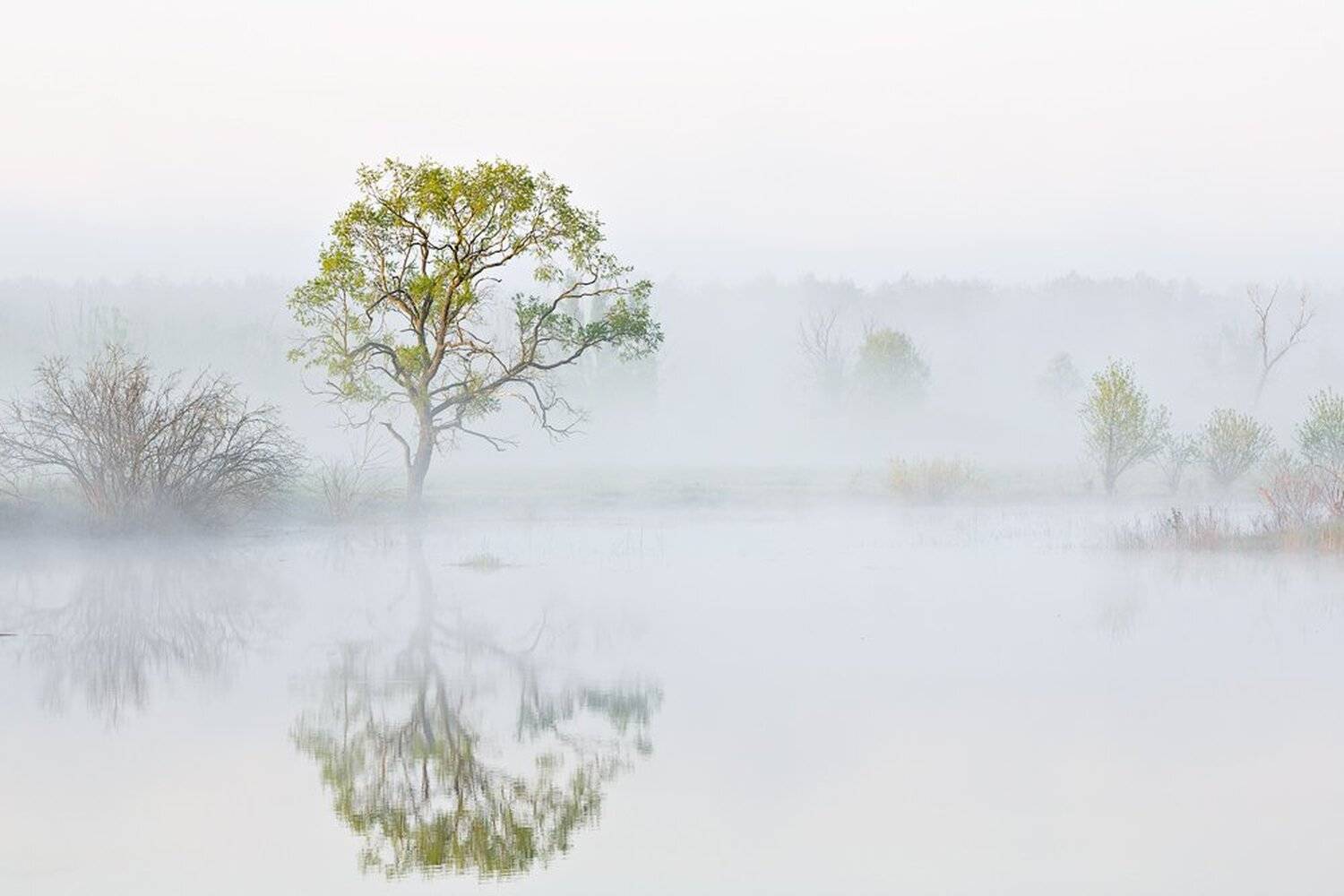 , Юрий Сорокин