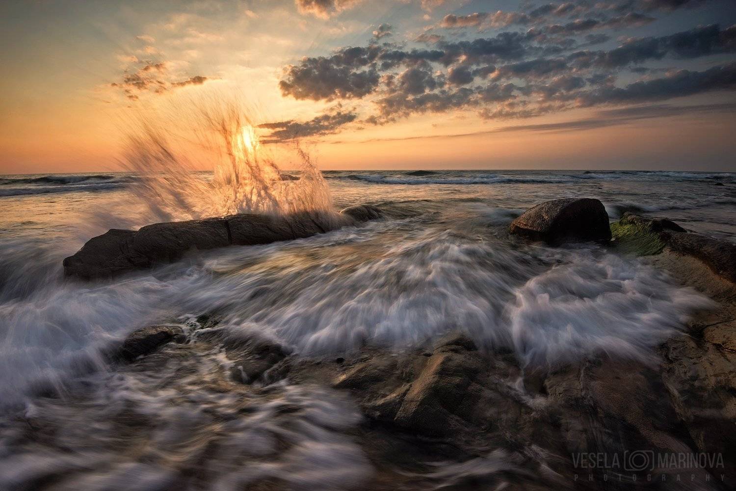 , Весела Маринова