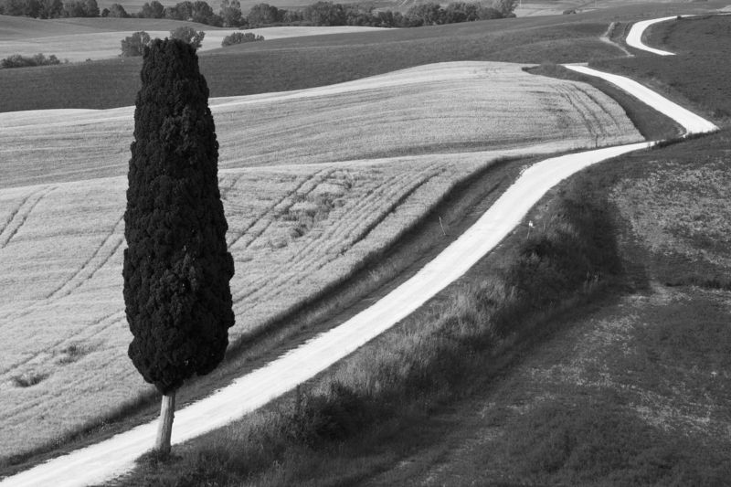 Long way back фото превью