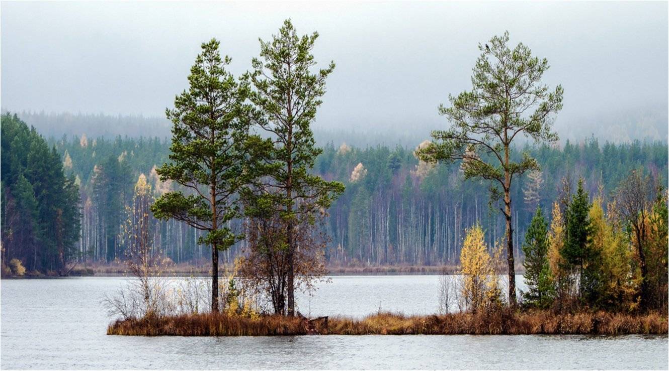 , Воинков Виктор