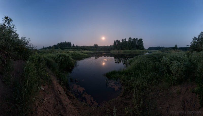 луна в кувшинках путалась, ещё... фото превью