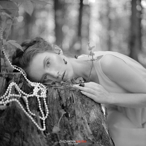 Forest dreams