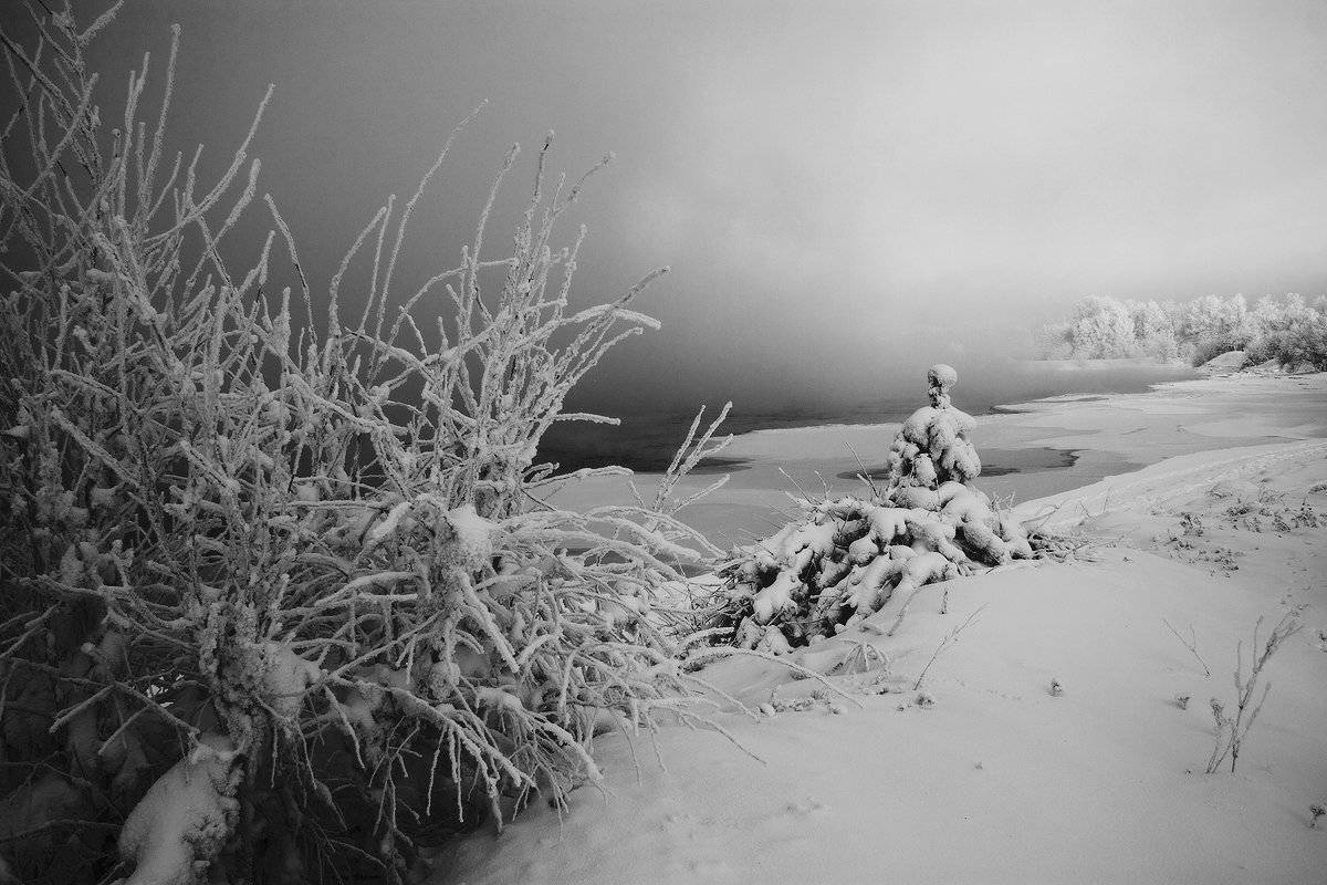 , Николай Морский