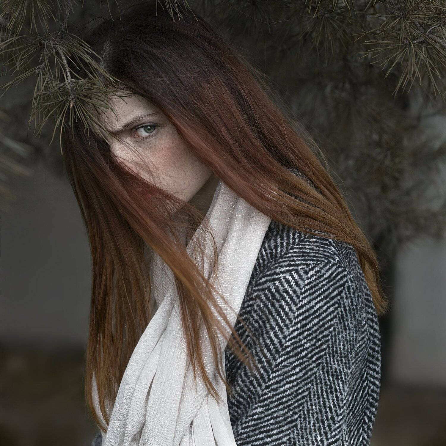 , Дмитрий Александров