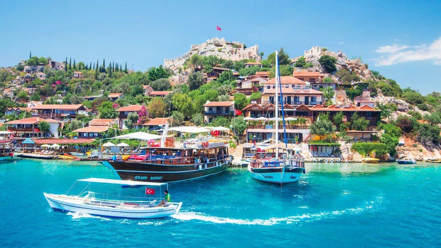 canon, Дмитрий Шеремет