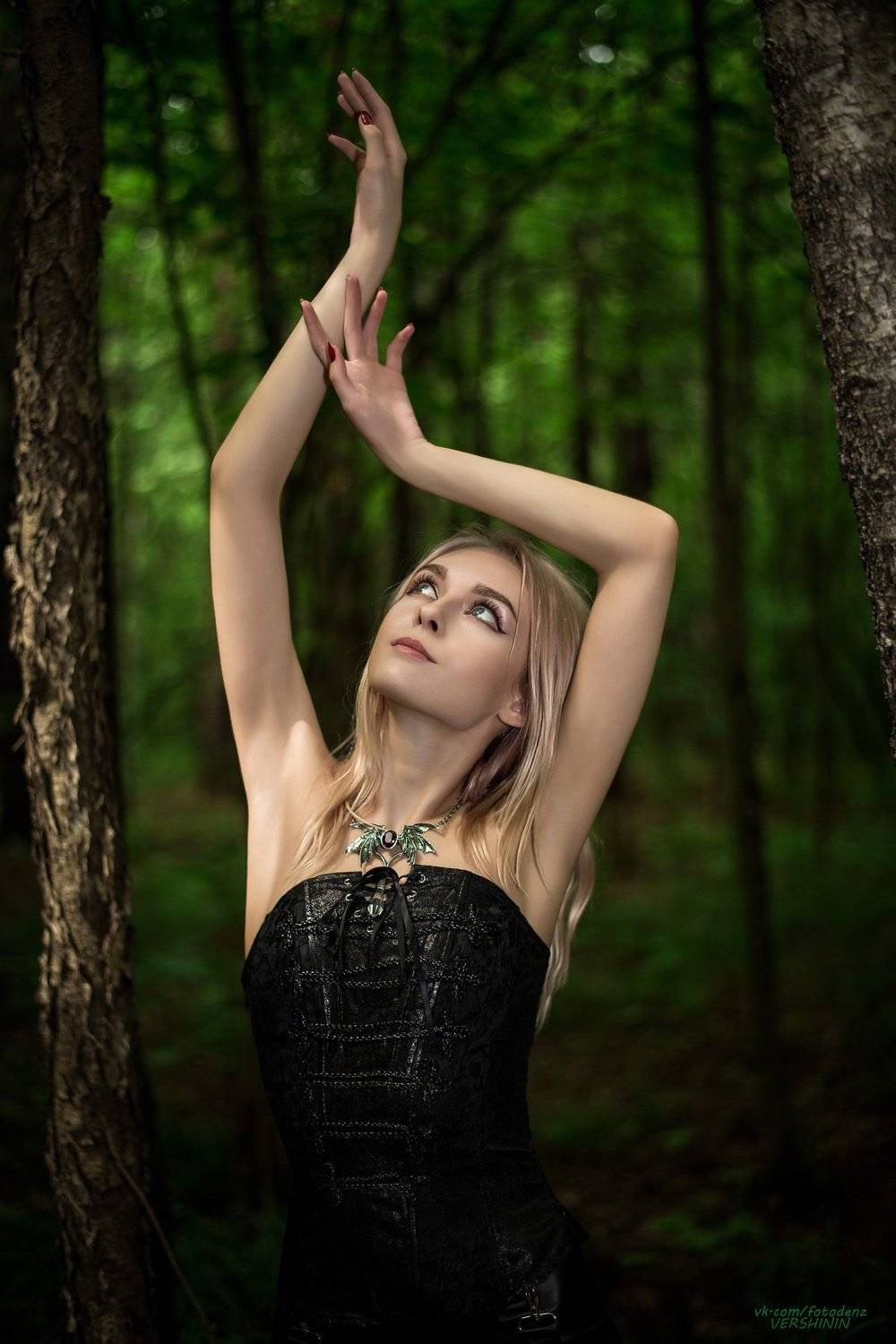 , Денис Вершинин