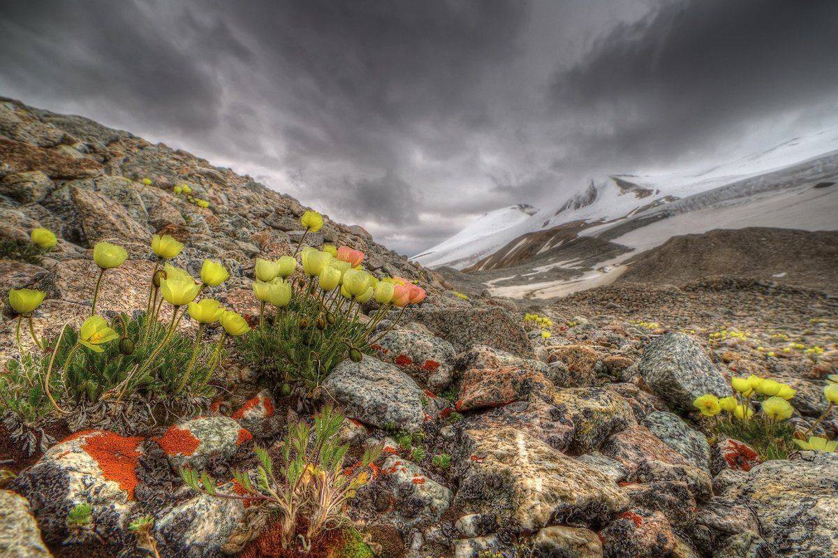 , Сергей Кузнецов