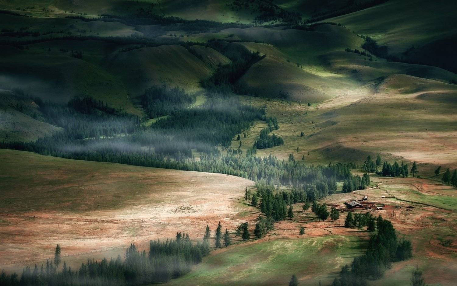 Altai mountains, Алтай, Горы, Курай, Лес, Лето, Свет, Степь, Ферма, holod