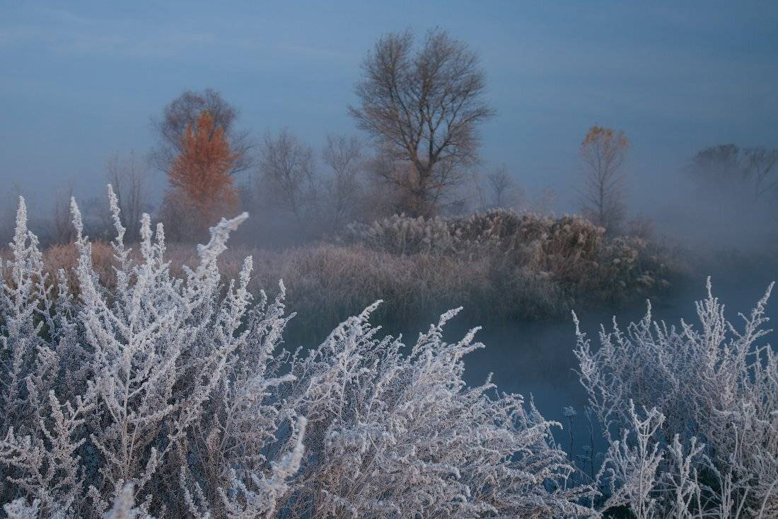 , Ярослав Тюрменко (Jaremi)