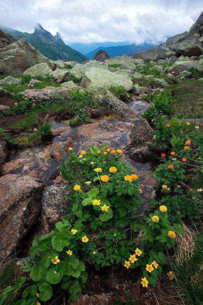 горы, ергаки, Владимир Ляпин