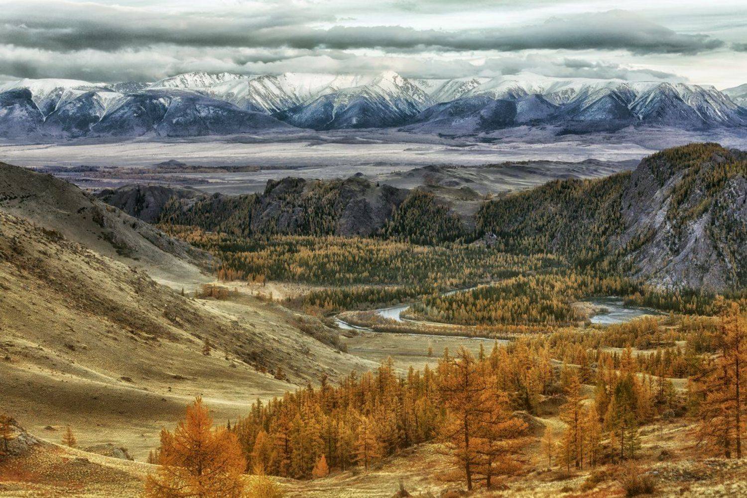 , Бруно Томский