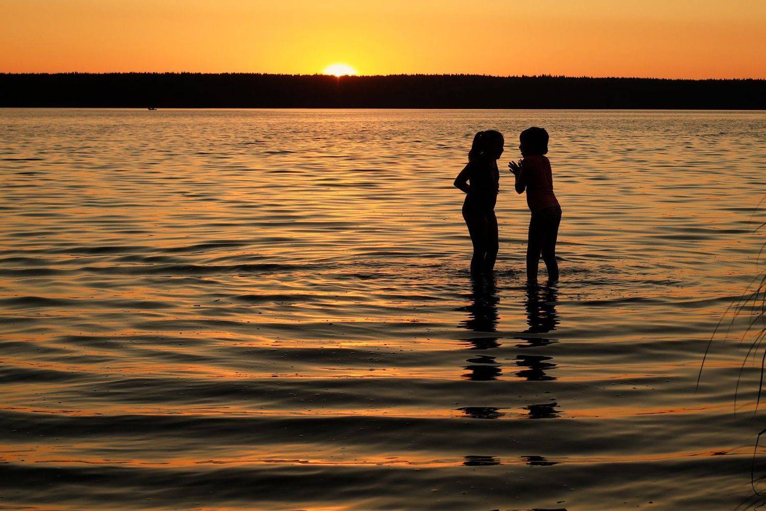 , Наталья Деменкова