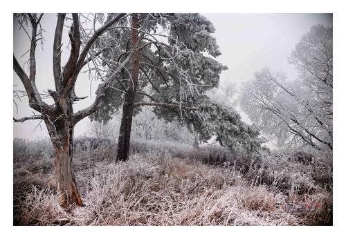 Первый мороз