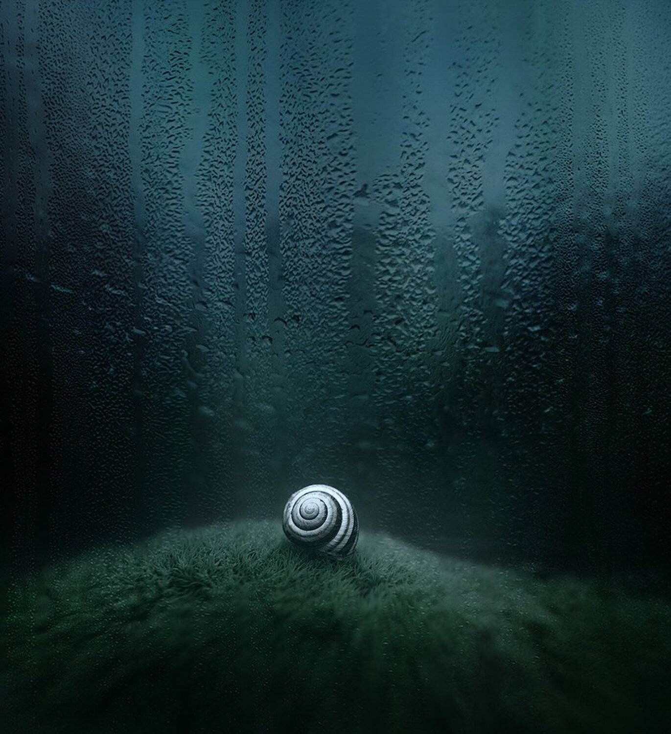 Коростышев, Макро, Макро истории, Макро мир, Макро фото, Макро Чорный, Александр Чорный