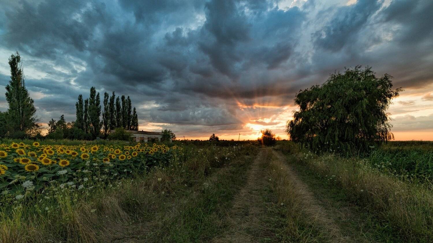 Закат, Alexander Plekhanov