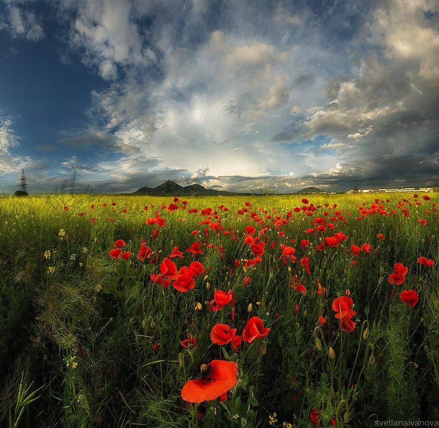 Бештау, Закат, Маки, Светлана Иванова