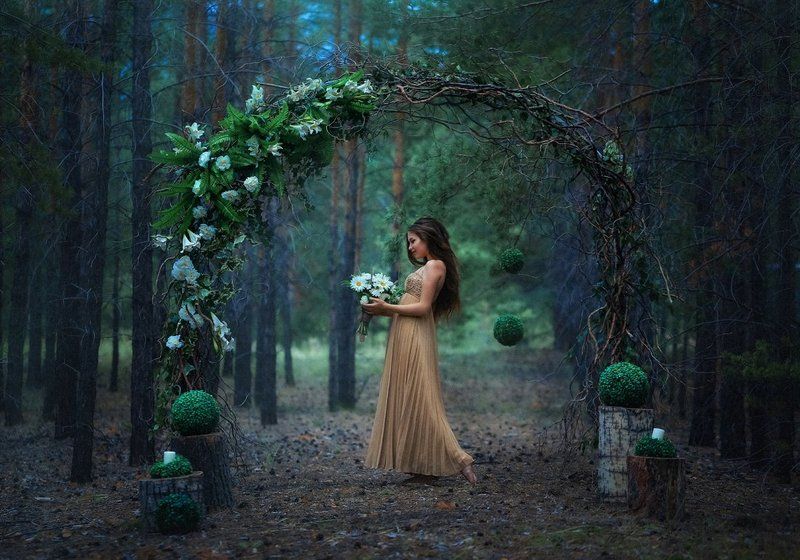 Сказки старого леса фото превью