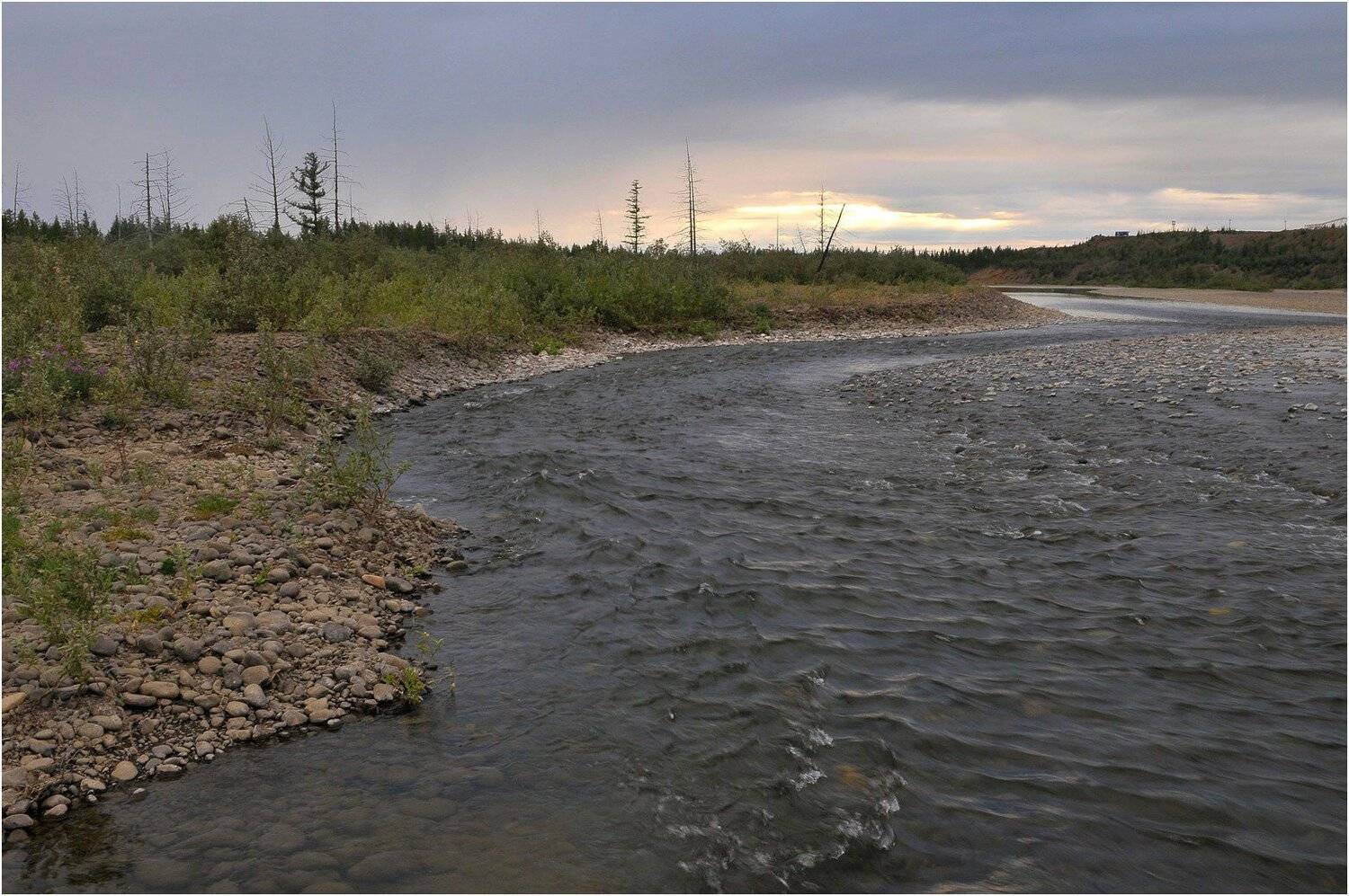 Таймыр, Владимир