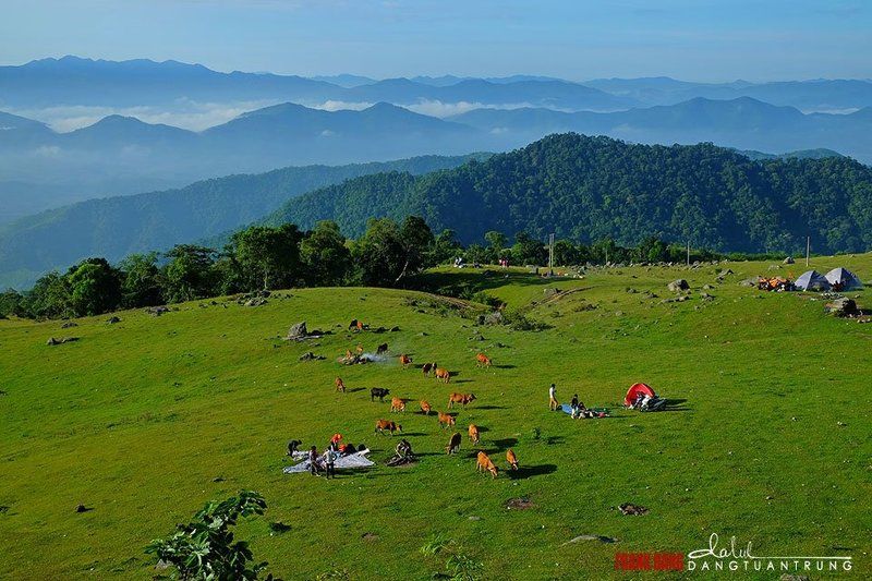 Dang Tuan Trung, Frank Dang Dong Cao highland фото превью