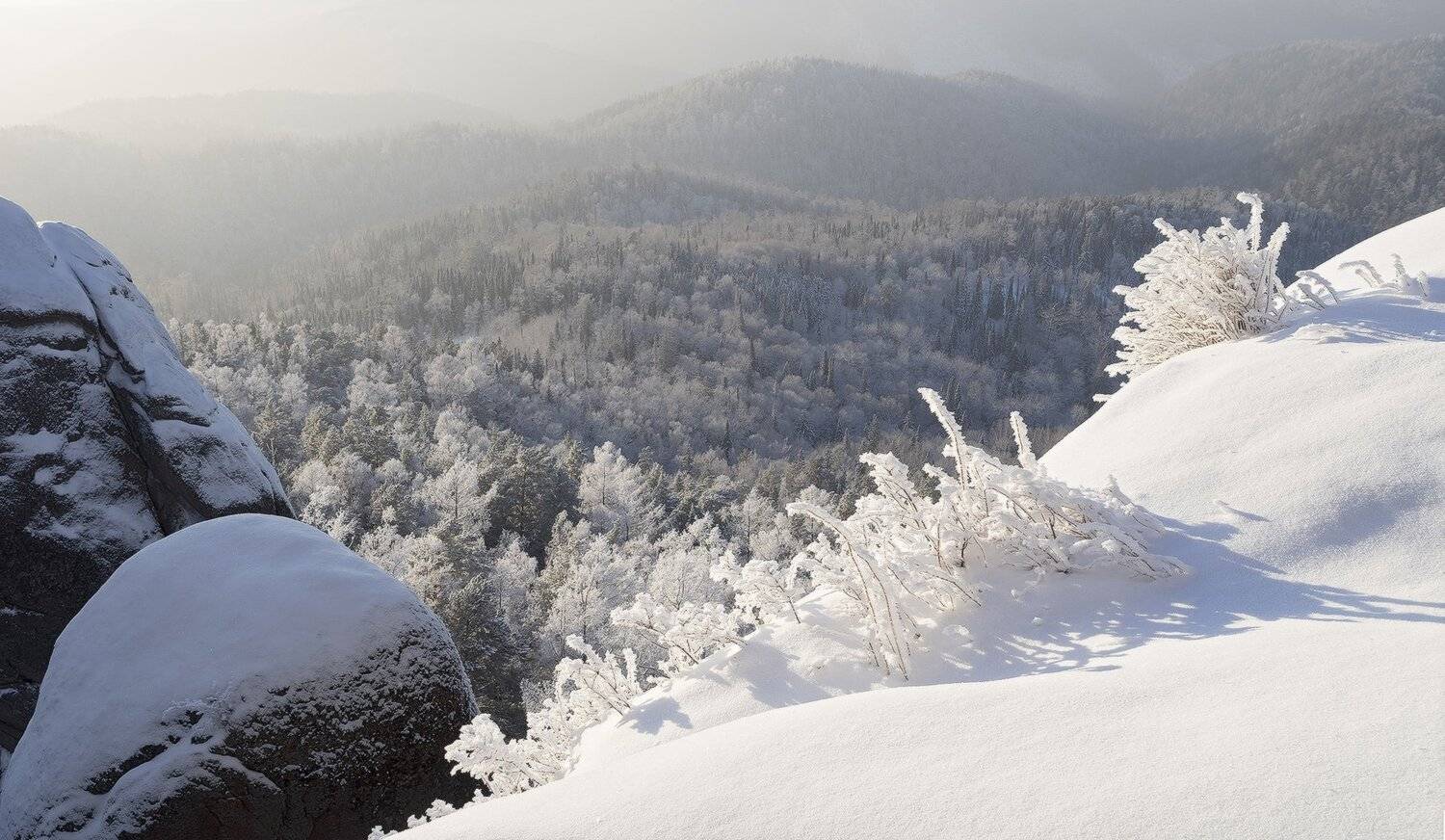 , Лещёнок Александр