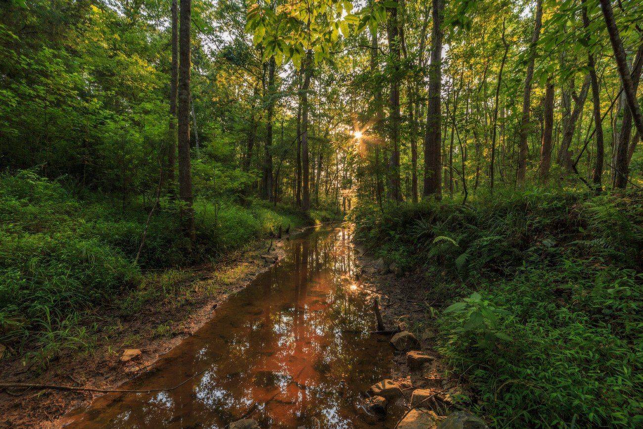 , Леонид Дьяченко