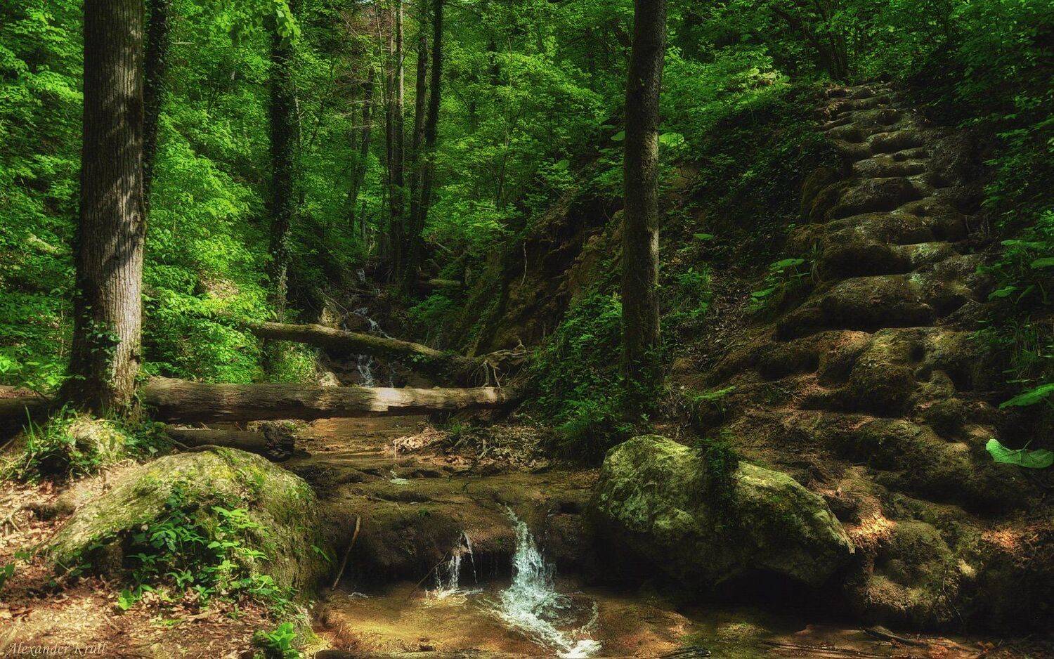 , Александр Круль