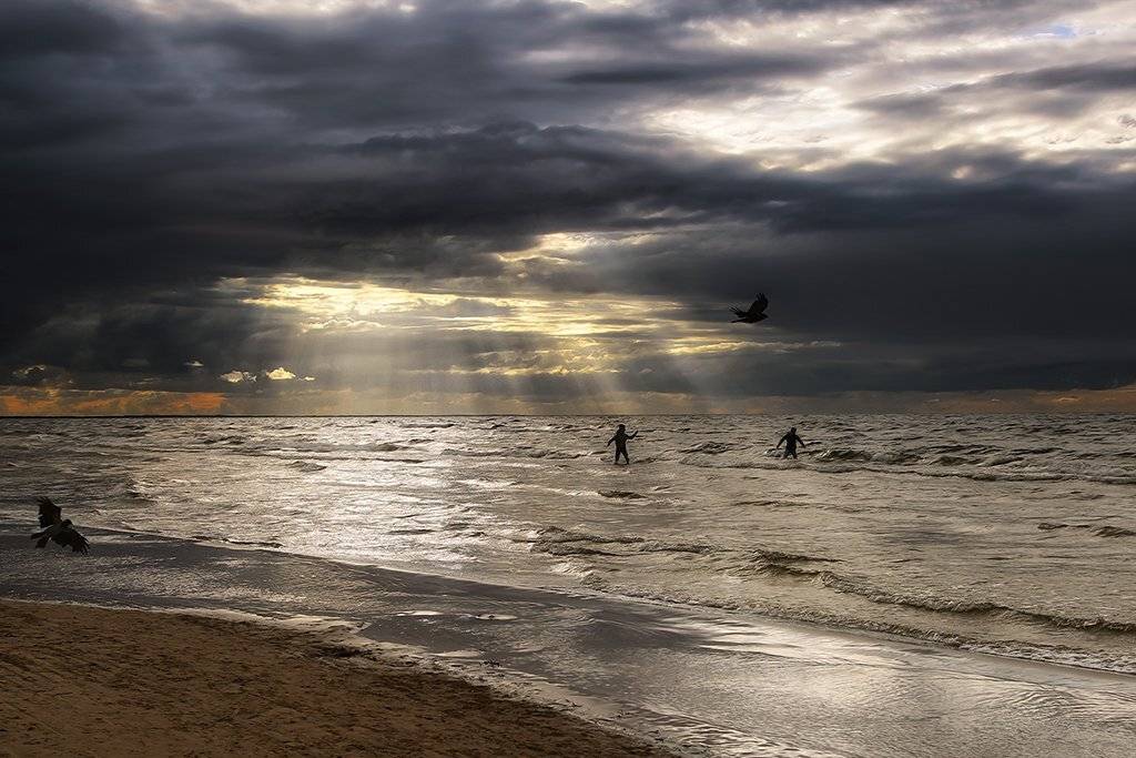 Берег, Волны, Вороны, Лучи, Море, Песок, Силуэт, Тучи, ALLA SOKOLOVA