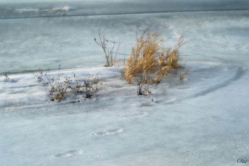 Рисунок карандашом фото превью