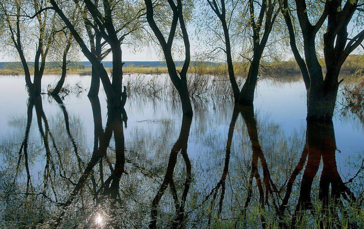, Валерий Кондратов