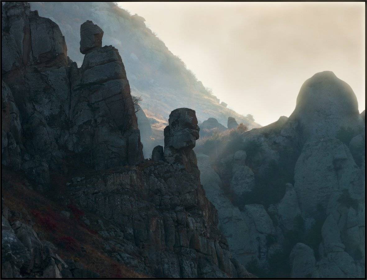 , Владимир Метцгер