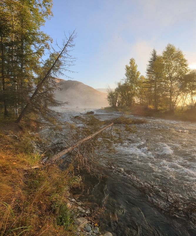 Утро на Мульте фото превью