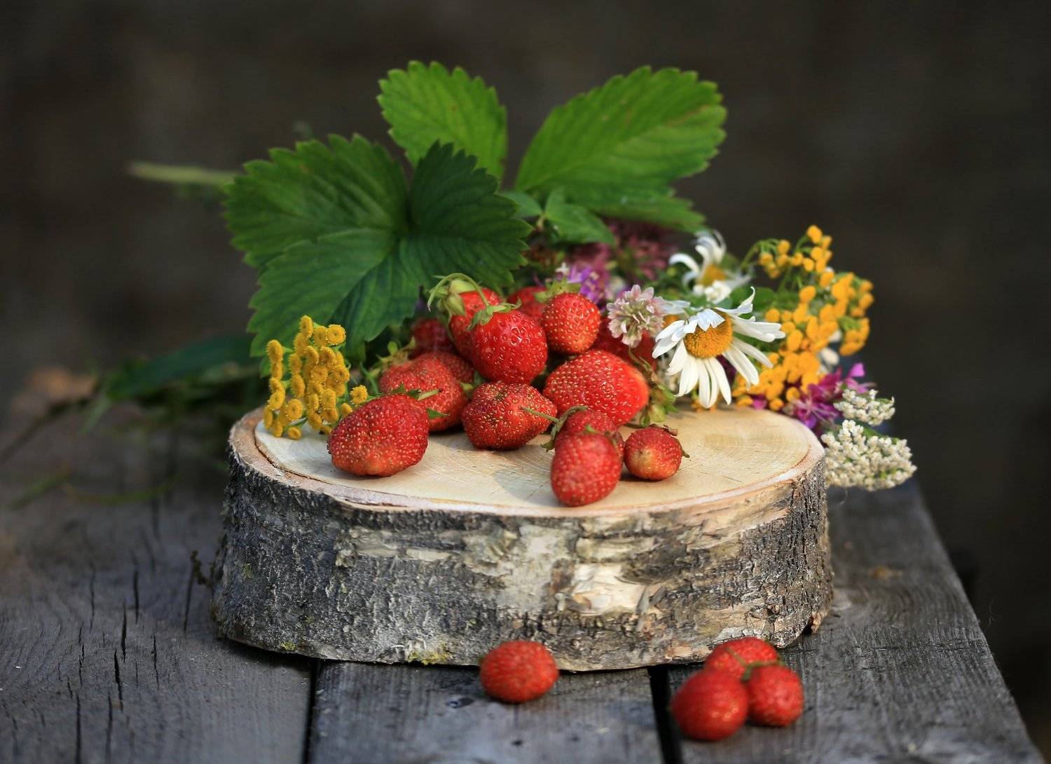 , Татьяна Борисова