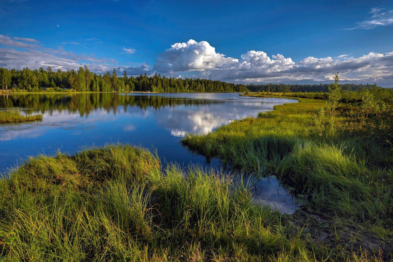 , Татьяна Борисова