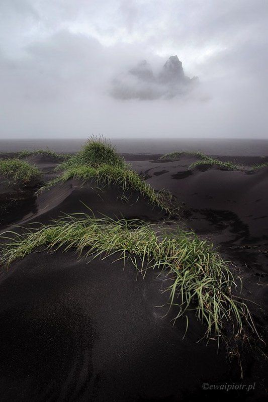 #iceland #landscape #vestrahorn #beach #black #mist Black beach at Vestrahorn фото превью