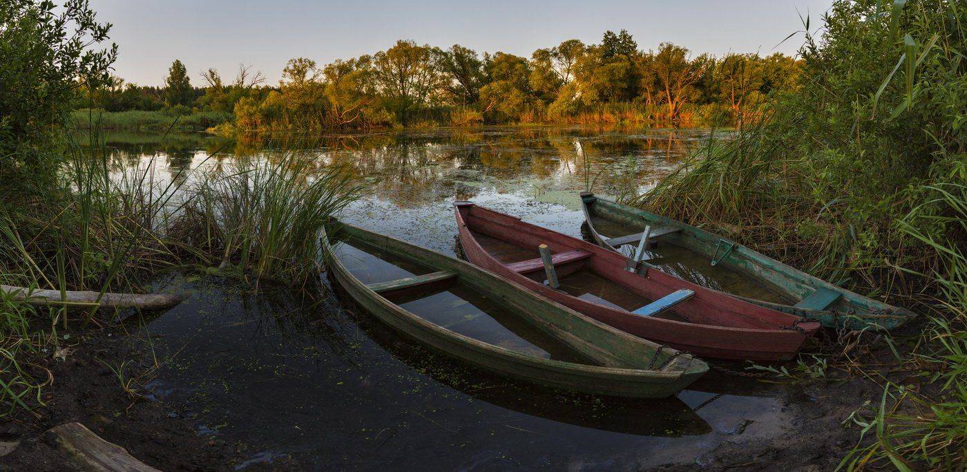 , Александр Бредихин